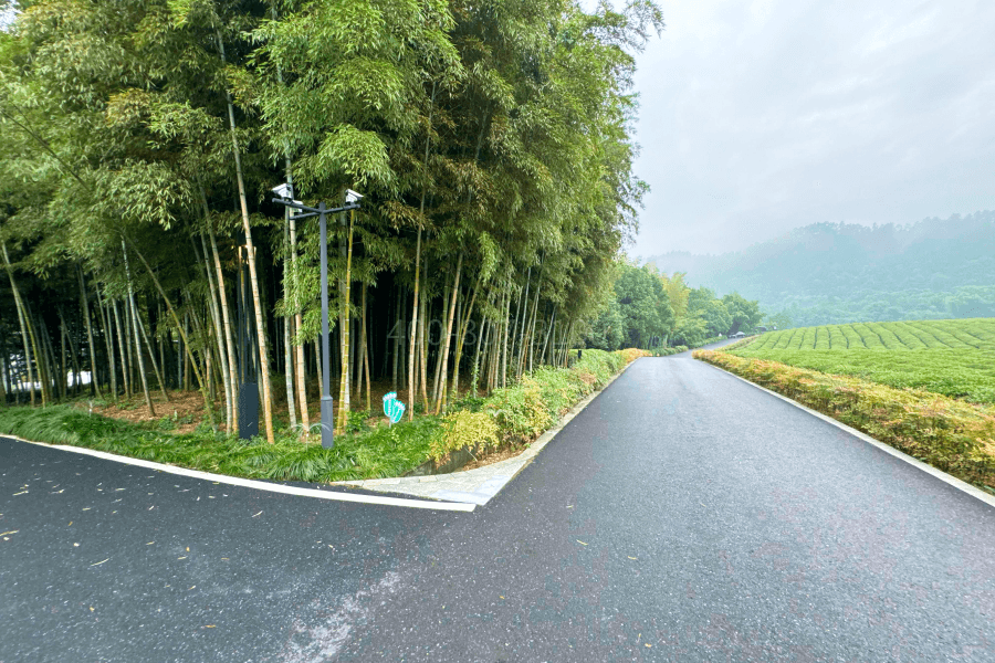 杭州径山竹茶园公墓电话地址园区竹林图
