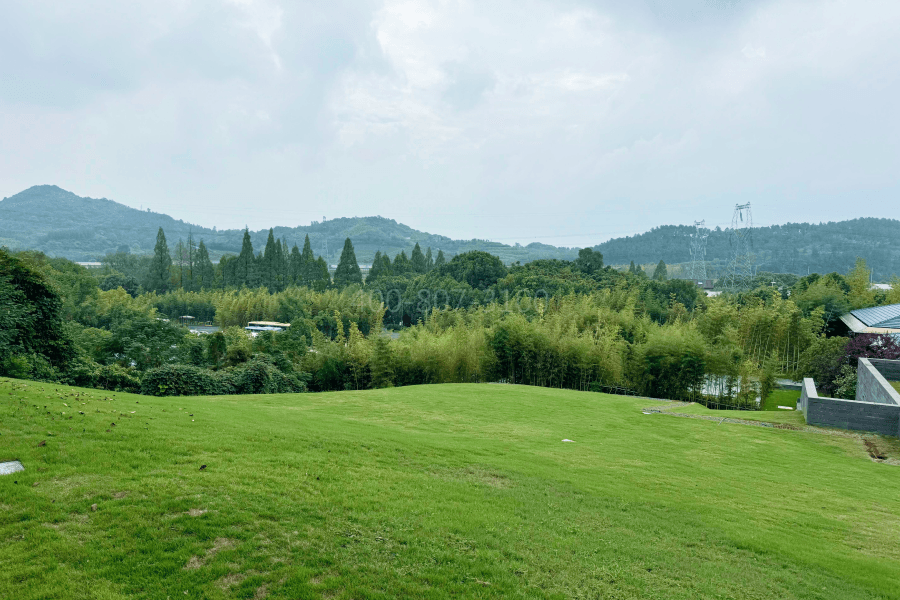 杭州径山竹茶园公墓电话地址园区环境图